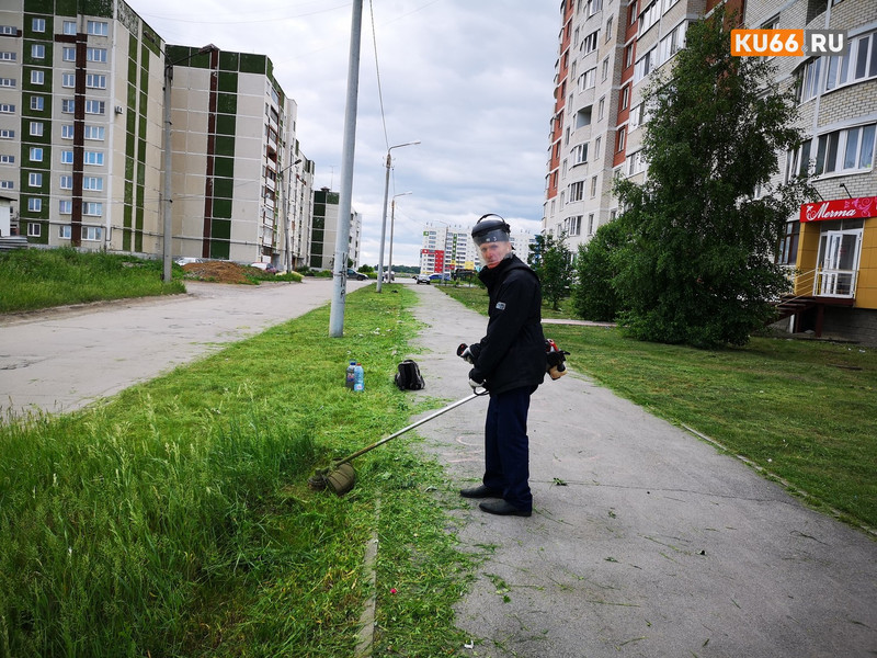 Вероятно, последняя волна покосов травы началась во дворах домов в Каменске. Некоторые жильцы недовольны — пошли жаловаться в мэрию