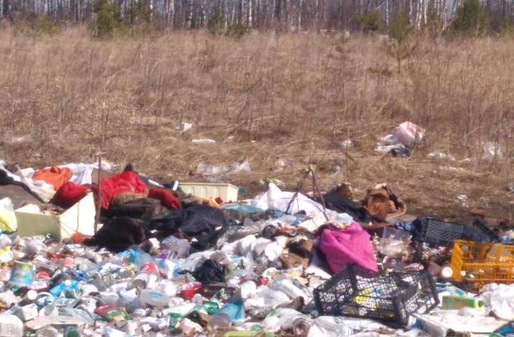 Власти Каменска-Уральского зашевелились: обещают к июлю убрать 600 тонн мусора с 33 нелегальных свалок, выявленных с начала года