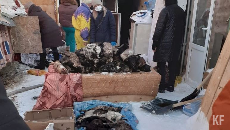 В Татарстане на пожаре в приюте для животных погибли 40 кошек и собак