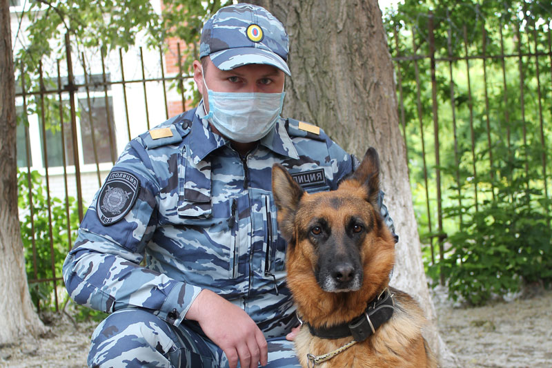 Овчарки, кокер-спаниель и метисы малинуа вместе с хозяевами — полицейскими Каменска-Уральского отметили профессиональный праздник