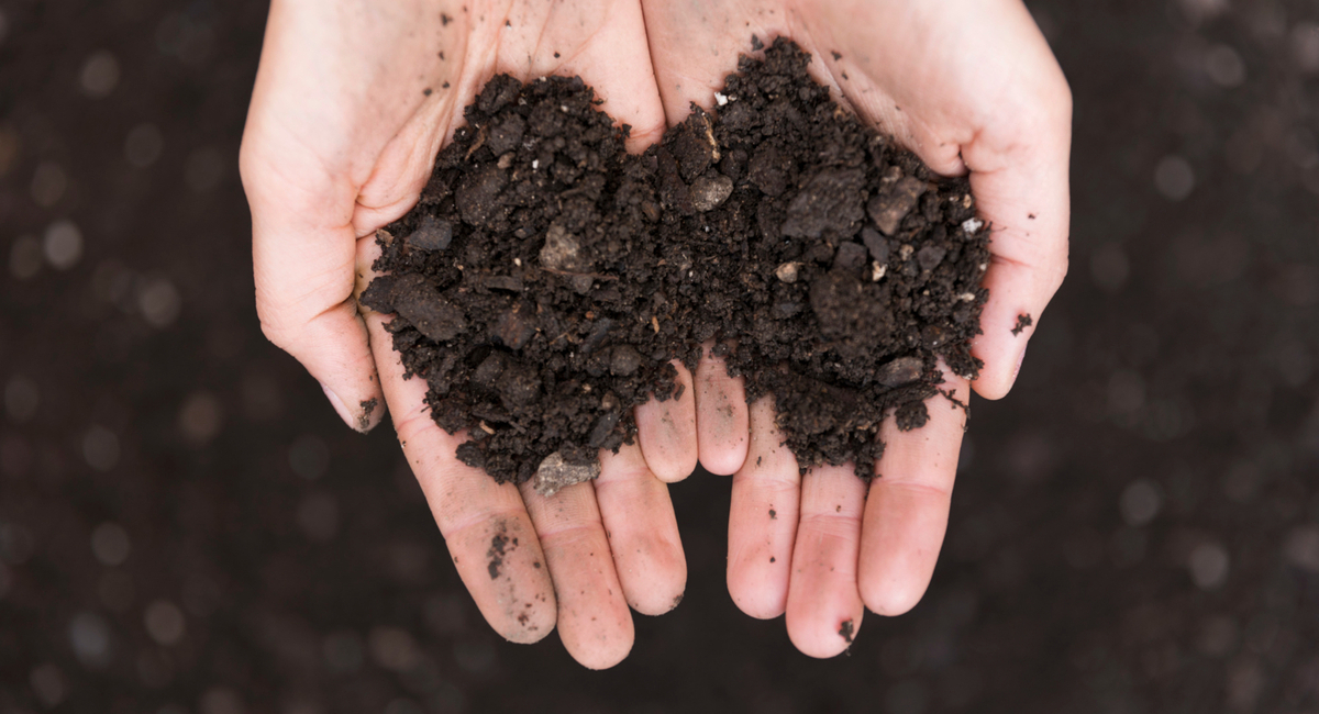 Чернозём за копейки: 1 «пузырёк» заменит 100 кг навоза. Проливаю все грядки после схода снега