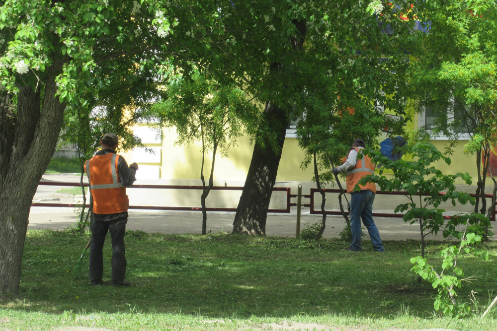 Шесть подрядчиков в течение лета будут косить газоны в Каменске. Стрекот слышно уже неделю — сезонную работу начали с центра к окраинам