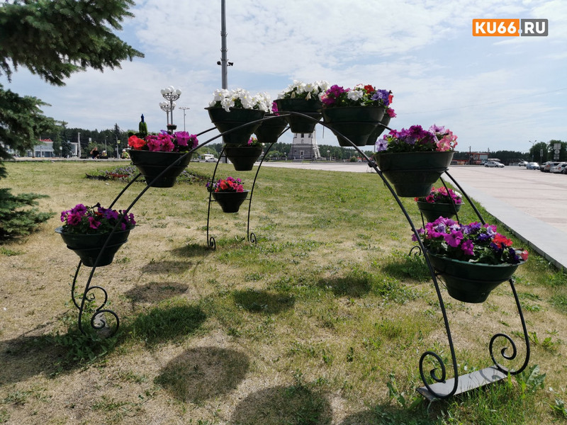 Становится красивее: как в Каменске-Уральском идут работы по сезонному озеленению, где появятся деревья и кусты, а где радующие взгляд цветы