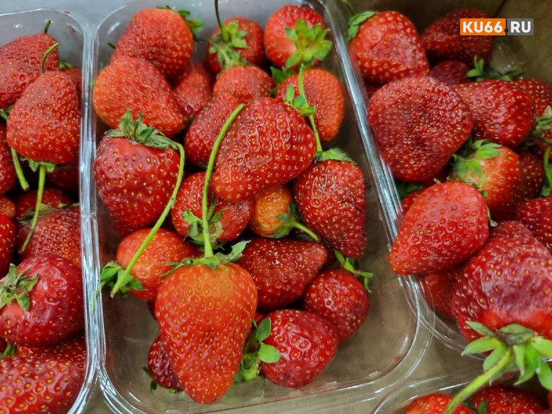 В Роспотребнадзоре объяснили, почему не стоит есть клубнику с подпорченным бочком