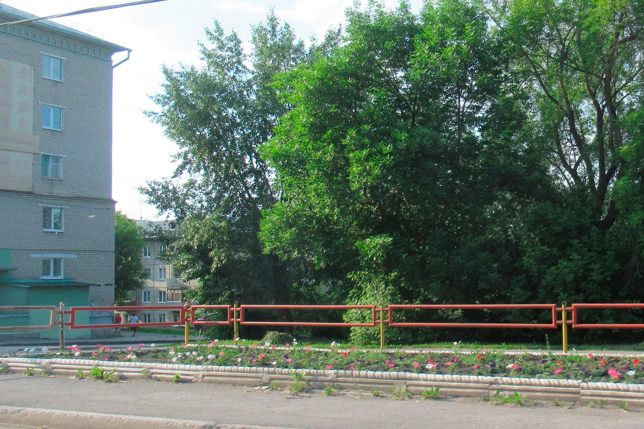 Воруют... Саженцы цветов продолжают пропадать с газонов и из клумб в Каменске-Уральском. Чиновница: "Фотографируйте нарушителей" Воруют... Саженцы цветов продолжают пропадать с газонов и из клумб в Каменске-Уральском. Чиновница: "Фотографируйте нарушителей"