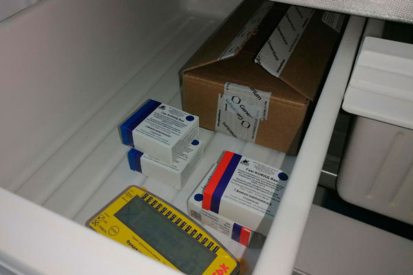 В Каменск-Уральский доставили еще 250 доз вакцины «Спутник V» от коронавирнуса - «колоть» продолжат медиков, учителей, транспортников...