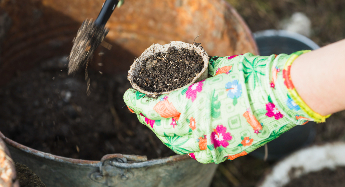 Земля из огорода — не подходит: показываю правильный грунт для теплицы, как в Голландии