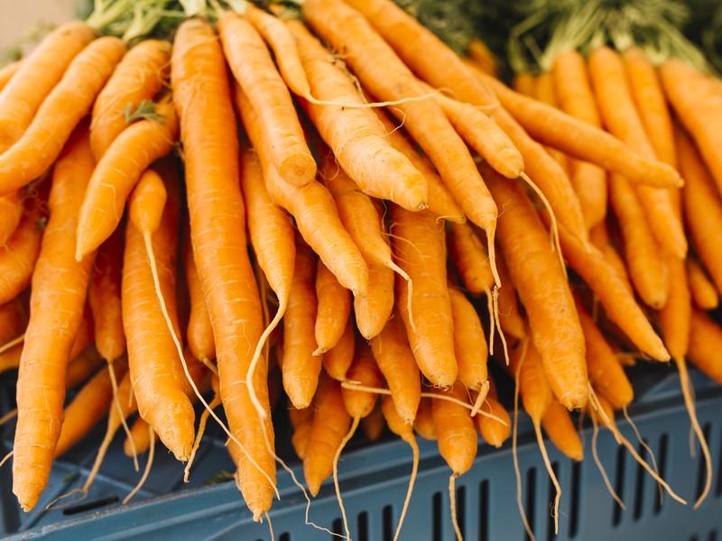 Почему морковка по-корейски может навредить желудку — врачи рассказали, в чём опасность | Острая морковь: польза и вред популярной закуски для ЖКТ