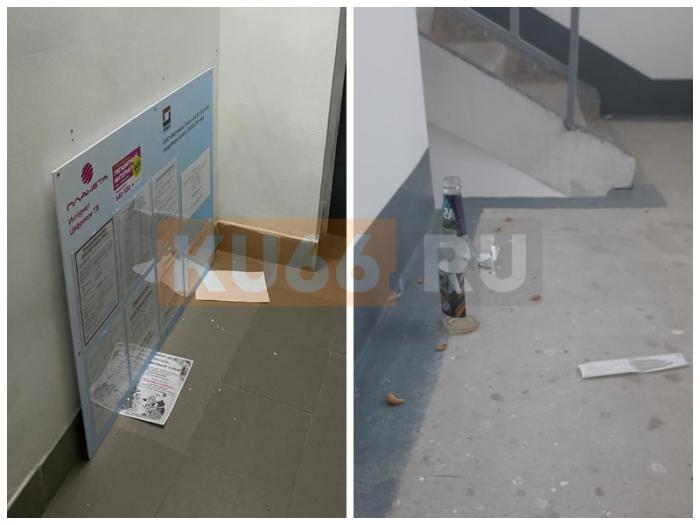 Кусают людей, громят подъезд: наркоманы терроризируют жителей Каменска-Уральского | Наркоманы в Каменске-Уральском устраивают хаос в подъезде и кусают жильцов