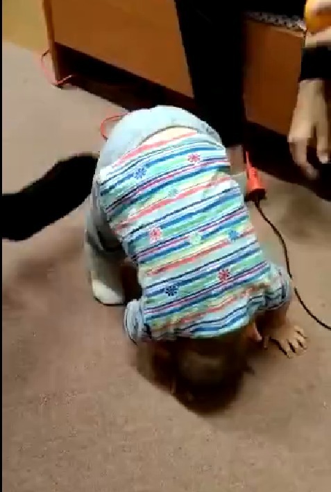 В сеть попало видео издевательств над малышами из отданного под ковидник Дома ребенка