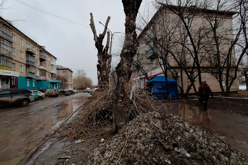 Суббота - «чистый день» у коммунальщиков в Каменске-Уральском: подмели центральную площадь, вывезли ветки деревьев с проспекта Победы