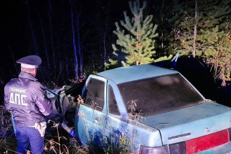 На свердловской трассе машина врезалась в лося, пассажир погиб на месте | В Свердловской области пассажир ВАЗа погиб после столкновения с лосем