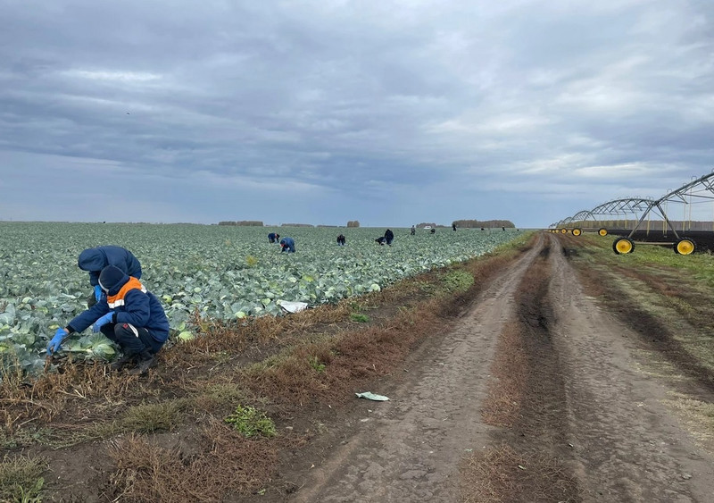 Каменские заключённые перевыполнили планы по выпуску продукции