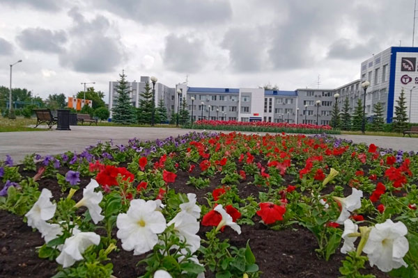 Цветы на заводской площади СинТЗ дарят работникам хорошее настроение
