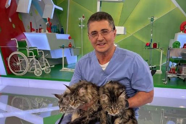 Мясников поделился самыми распространенными заблуждениями в медицине