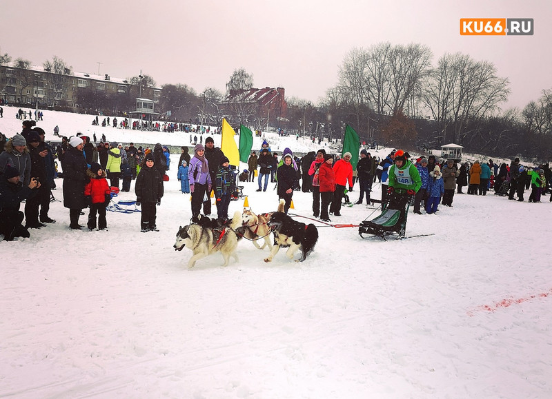 Парад елочных игрушек, новые спортивные площадки и гастрономическое шоу пройдут в Каменске-Уральском 22 января