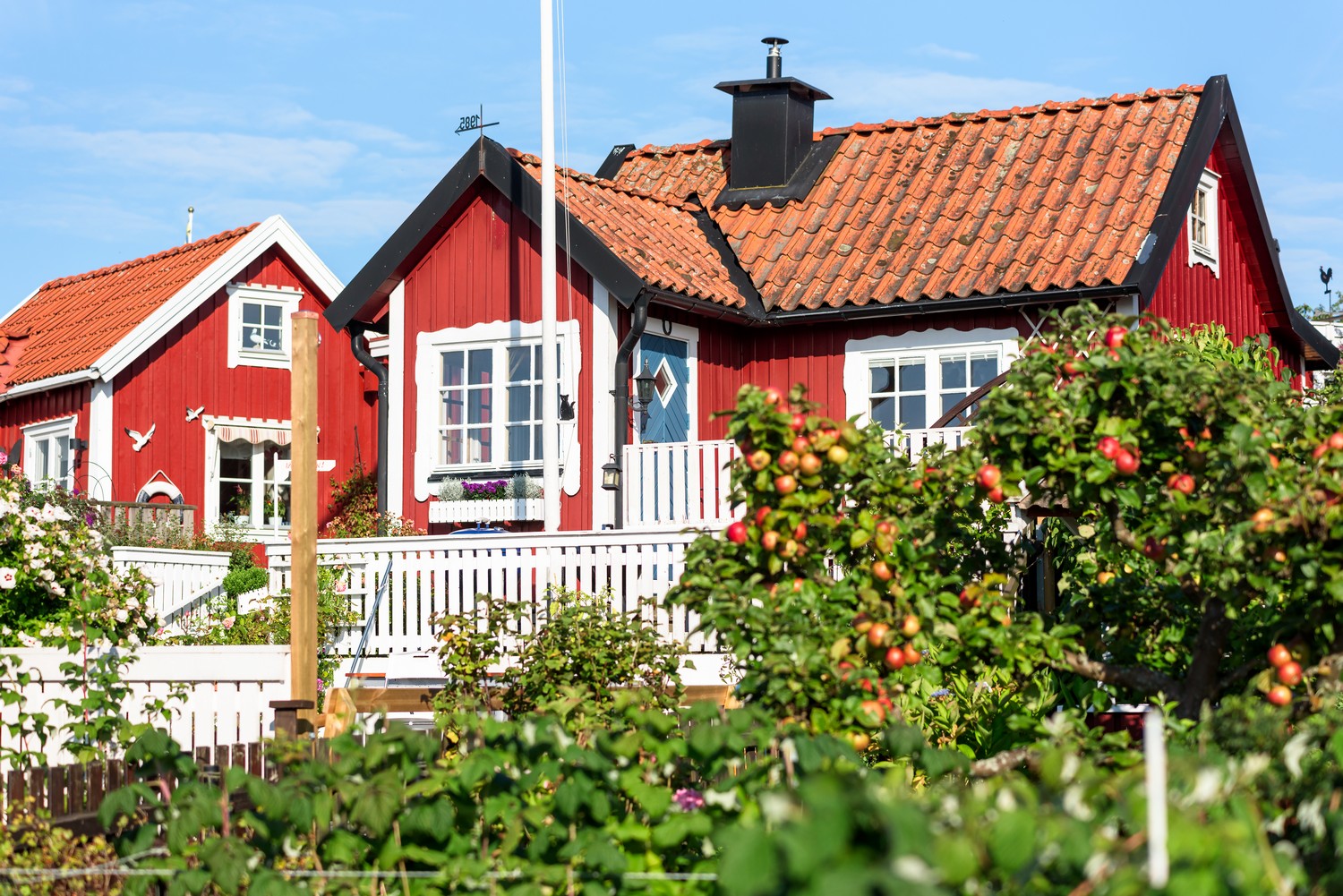 Безопасность дома и участка: как установить видеонаблюдение и не потратить целое состояние?