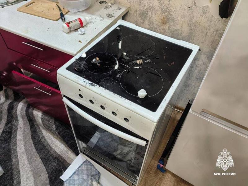 Собака взорвала квартиру в Новосибирске: как это вообще возможно | В Новосибирске собака случайно взорвала квартиру