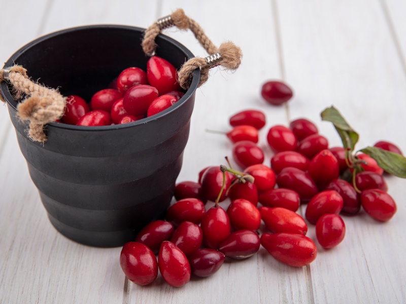 Соберите шиповник и спрячьте желание: народные приметы в День Арины Шиповницы 1 октября | 1 Октября в России отмечают День Арины Шиповницы Соберите шиповник и спрячьте желание: народные приметы в День Арины Шиповницы 1 октября | 1 Октября в России отмечают День Арины Шиповницы