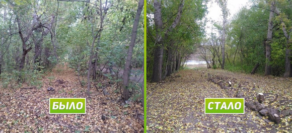 «Пост прочитали свыше пяти тысяч, но пришли всего шестнадцать». Волонтеры провели очередной субботник на аллее в Каменске-Уральском