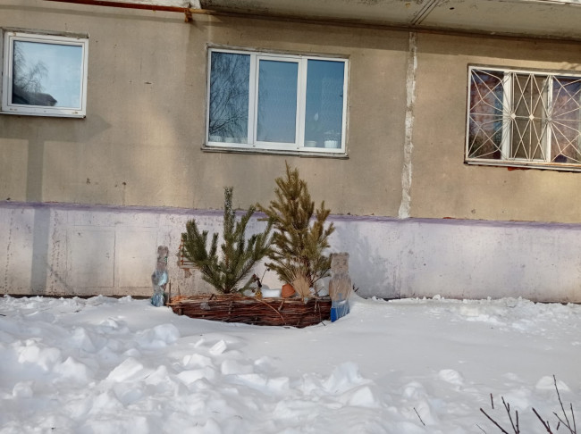 Кто позже? Жители многоквартирника по ул. Шестакова в Каменске только сейчас решили избавиться от новогодних елок. Воткнули в сугроб у дома