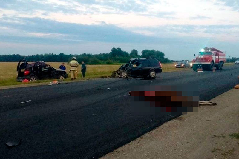 На уральских трассах всплеск ДТП с дикими животными. Под Каменском-Уральским в аварии с лосем погибли два водителя