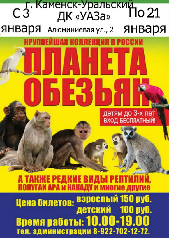 На мартышек, лемуров, попугаев ара и какаду в новогодние каникулы смогут полюбоваться жители Каменска. Как выиграть бесплатный билетик?