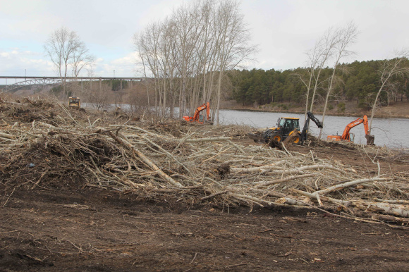 При благоустройстве улицы Набережной убрали 900 деревьев