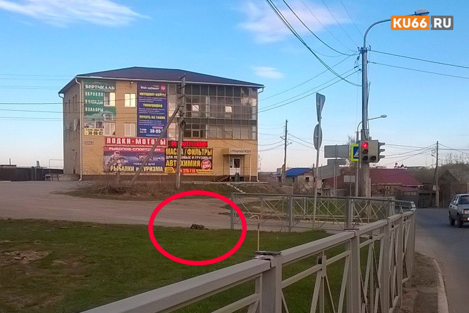 Иные водители куда большие животные, чем братья наши меньшие: как в Каменске ВАЗ на огромной скорости сбил собаку и умчался вдаль...