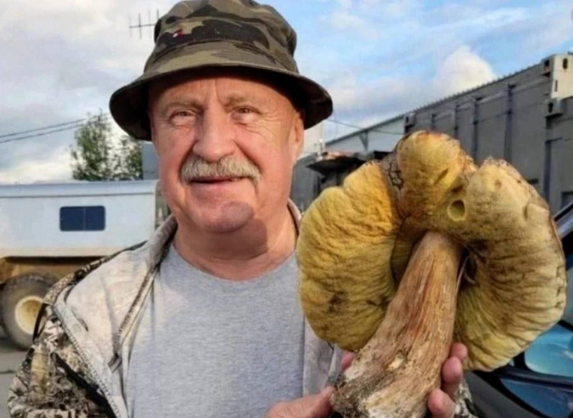 Гриб весом полтора килограмма: в Каменске-Уральском нашли гигантский трофей | В лесах Свердловской области нашли гигантский гриб