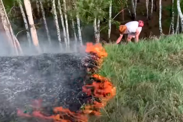 «Возможно, справимся сами». Семья из Каменска-Уральского потушила лесной пожар вдоль железной дороги — пламя погасили свежими ветками