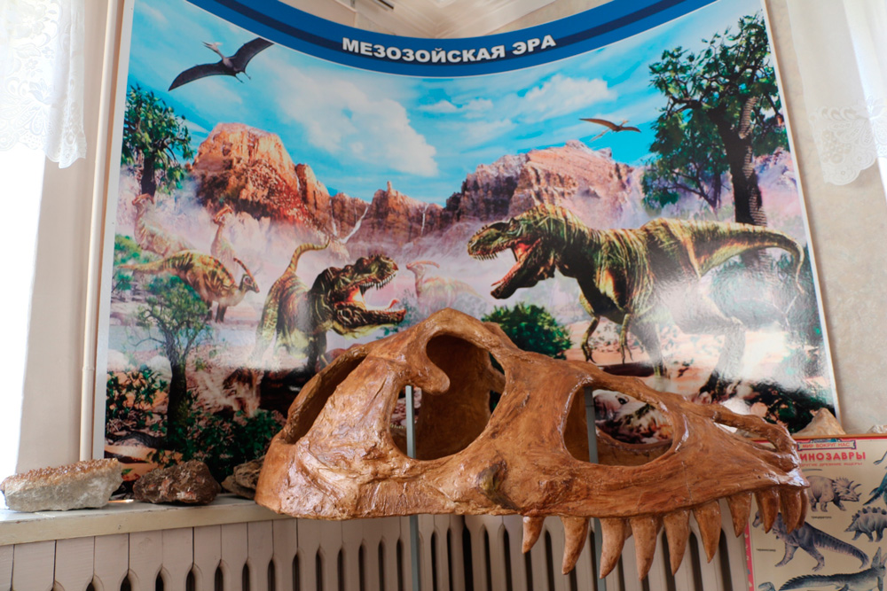 Метеориты, муляж черепа динозавра, камни из Антарктиды и… из почек — в геологическом музее Каменска-Уральского около четырех тыс. экспонатов