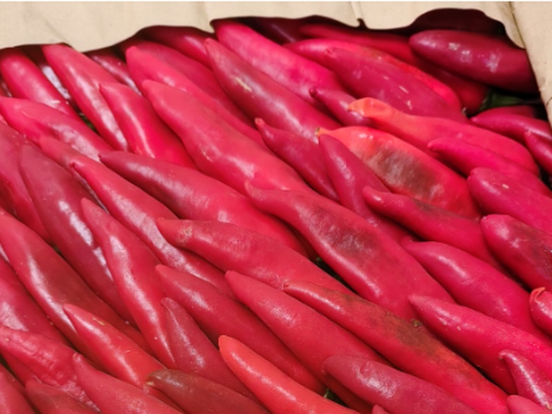 Уничтожили 5 тонн: вирус из Узбекистана попал в овощи, ввезённые в Свердловскую область | В Екатеринбург завезли заражённые томаты и перец Уничтожили 5 тонн: вирус из Узбекистана попал в овощи, ввезённые в Свердловскую область | В Екатеринбург завезли заражённые томаты и перец