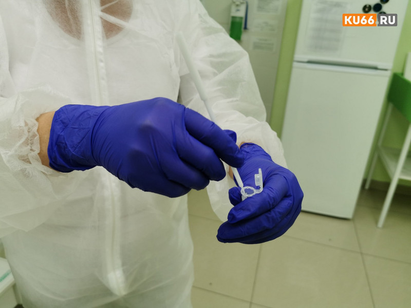 В Свердловской области зафиксировано 276 случаев COVID-19. В Каменске все стабильно