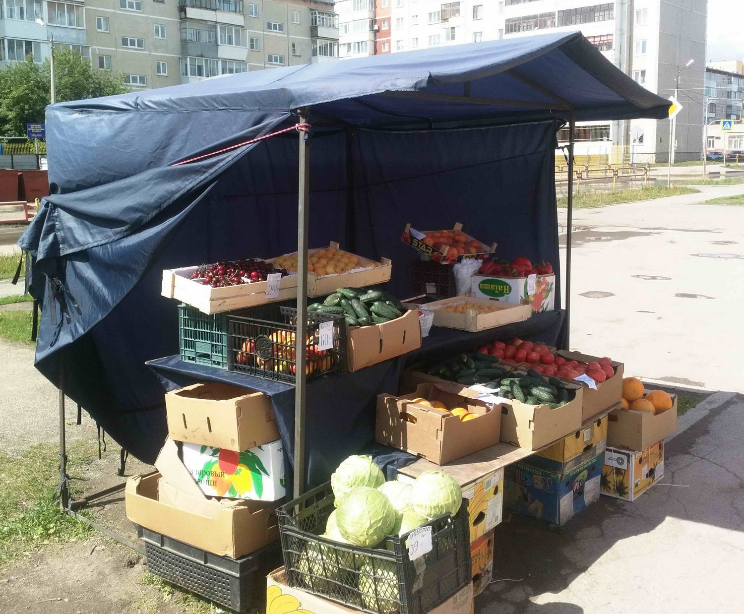 Комитет по имуществу Каменска-Уральского строго бдит за муниципальной землей. Уже троим торговцам фруктами светят немалы штрафы... Комитет по имуществу Каменска-Уральского строго бдит за муниципальной землей. Уже троим торговцам фруктами светят немалы штрафы...