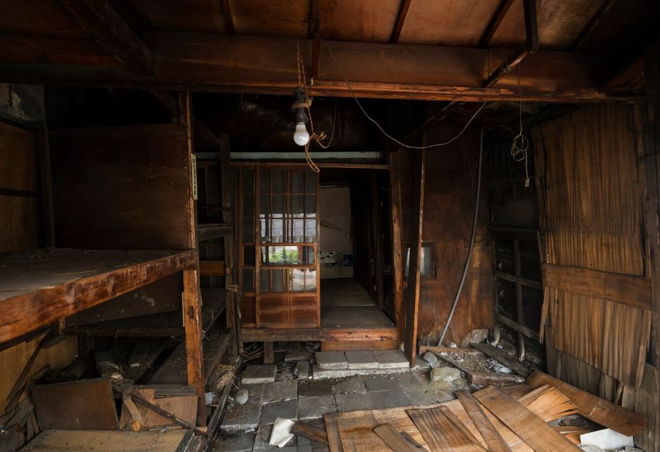 В Санкт-Петербургском подвале нашли 3 «детей-маугли» | В Санкт-Петербургском подвале нашли 3 «диких» детей 