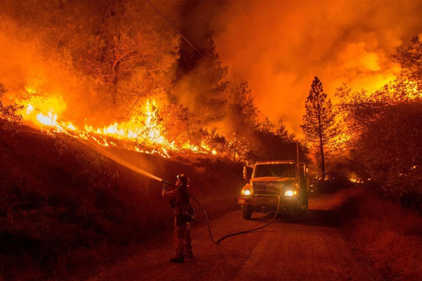 19 гектаров в огне: в Свердловской области начались первые лесные пожары | В Свердловской области начался пожар: горят 19 гектаров леса 19 гектаров в огне: в Свердловской области начались первые лесные пожары | В Свердловской области начался пожар: горят 19 гектаров леса