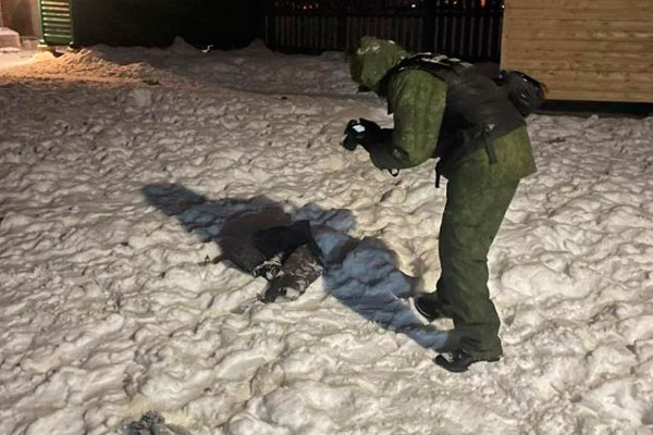 Мать растерзанного собаками мальчика будут судить в Тверской области