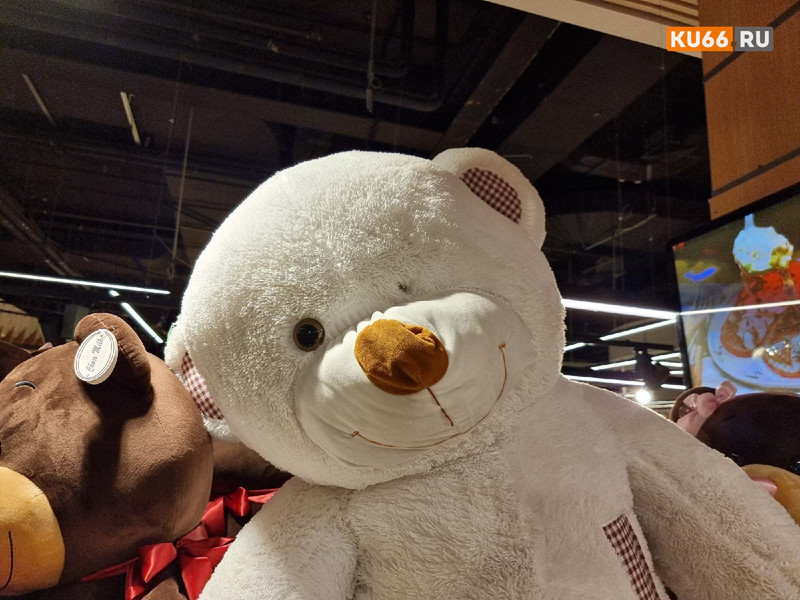 В Каменске-Уральском неизвестный разбил стекло цветочного павильона и похитил двух плюшевых медведей