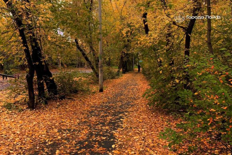 От -2 до +13: синоптик Пулин рассказал, какая погода ждёт свердловчан на выходные | В Свердловской области ожидается слабые дожди и до +13 градусов