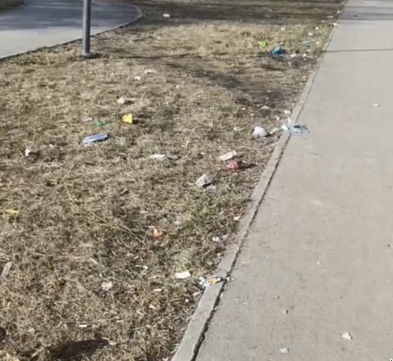 Свалка вместо прогулки: что происходит на БПК в Каменске-Уральском | Мусор на БПК в Каменске-Уральском: жители жалуются, стартуют субботники