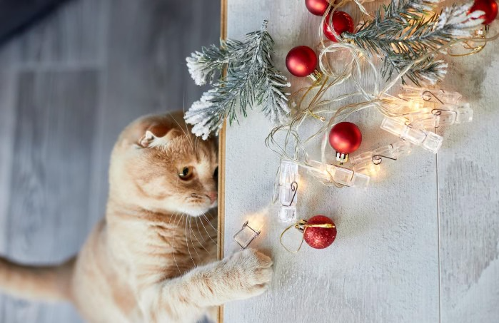 Эксперт рассказала, как помочь кошкам и собакам пережить Новый год | Как защитить питомца от стресса в новогоднюю ночь