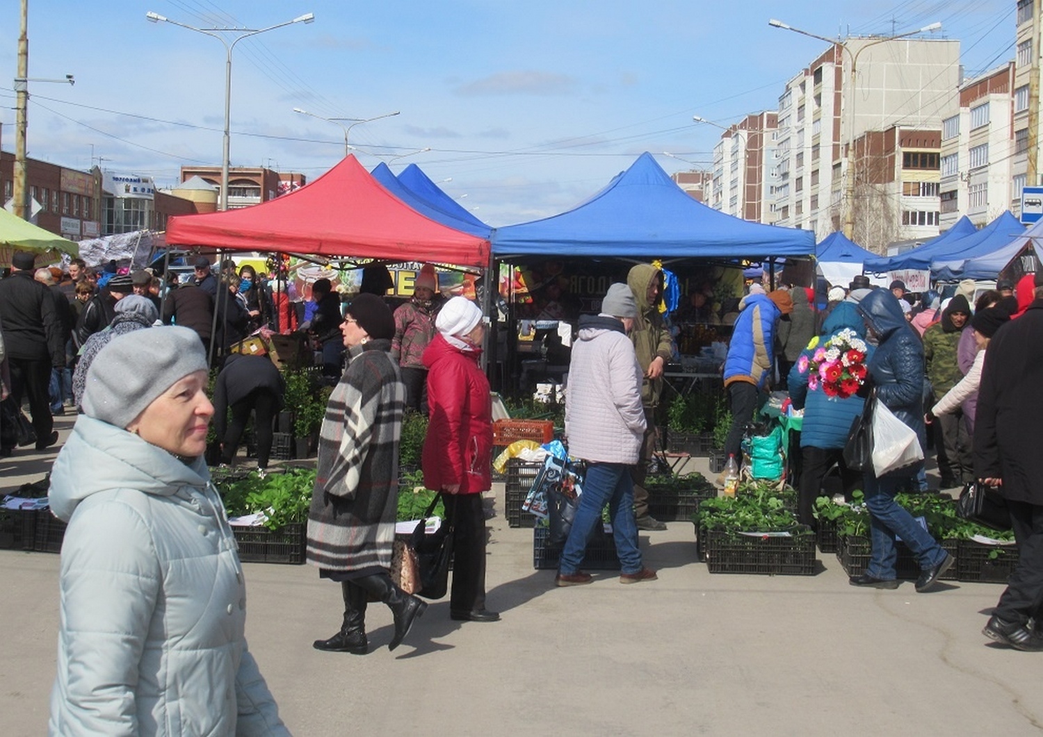 Сотни торговцев, обильный ассортимент: в Каменске-Уральском на весенней ярмарке продуктов и товаров было столько, что взгляд разбегался!