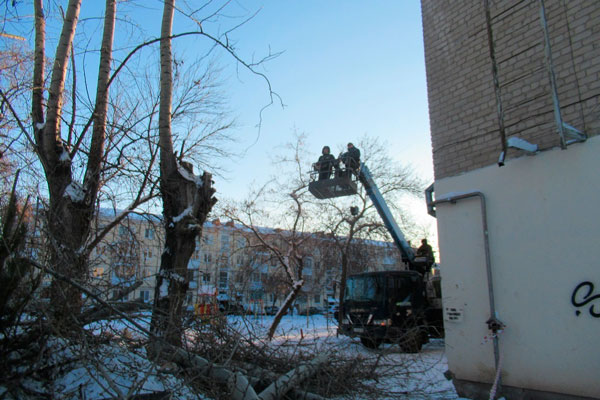 Кровли чистят, капремонты идут, деревья обрезают. В мэрии рассказали, как коммунальщики Каменска-Уральского работают в каникулы