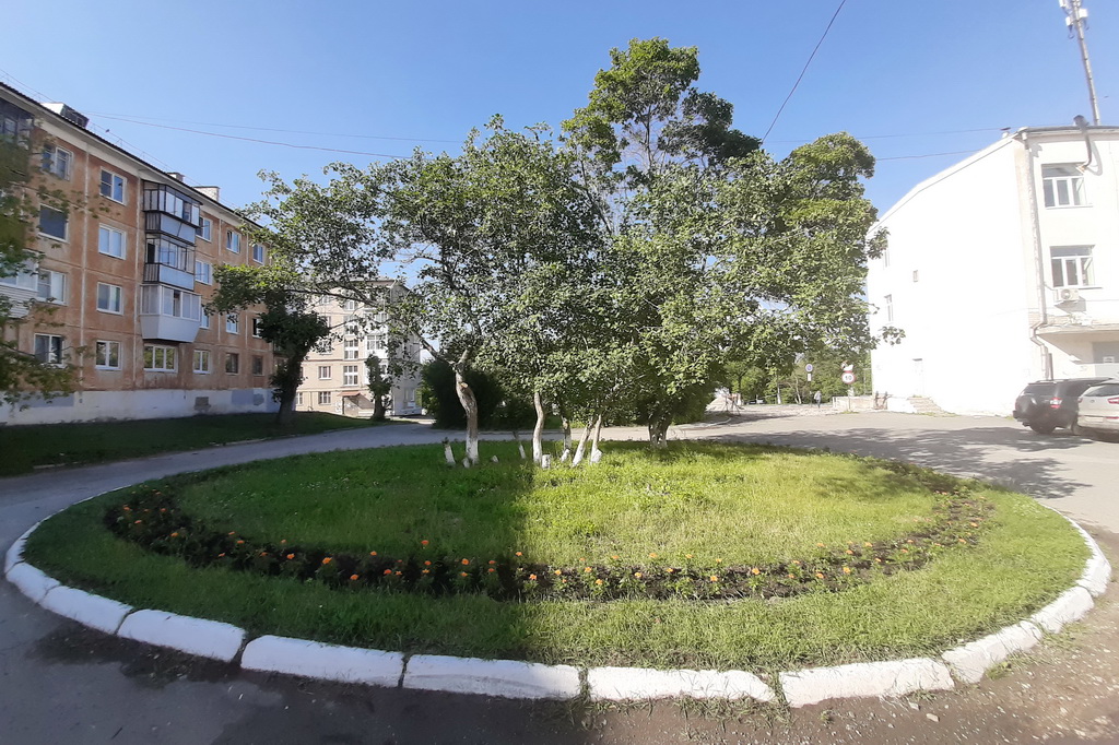 Вокруг Театра Драмы в Каменске-Уральском уже зеленеют десятки зеленых цветов и кустарников, а на что здесь за два года потратили 18 млн руб.