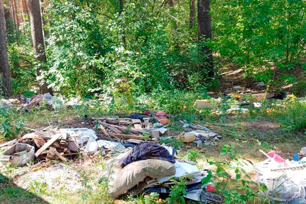 Больше тонны мусора - стекла, ветоши, бутылок - вывезли добровольцы из леса за гаражами по ул. Московской в Каменске-Уральском