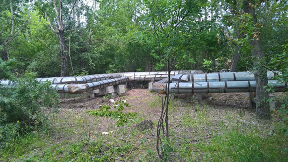 Грабли в руки возьмут все: чиновники Каменска-Уральского решили провести субботник в сквере у ДК УАЗ. Говорят, работ здесь уйма...