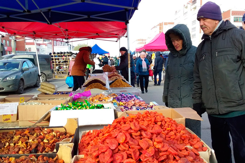 «Мороз скорректировал»: из-за холодной погоды посетители осенней ярмарки в Каменске-Уральском остались без саженцев и декоративных растений