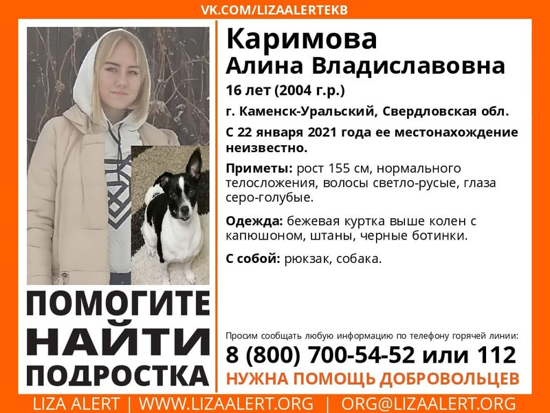 «Нужна помощь добровольцев»: в Каменске-Уральском ищут светловолосую девушку-подростка — она пропала с собакой, при себе у нее рюкзак