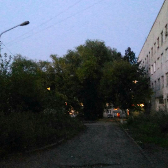 «Это же просто идеальное место для преступлений». Территория за поликлиникой в Каменске зарастает травой и деревьями. Жители недовольны…